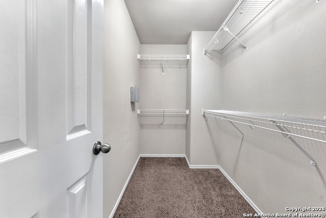 10761 Impala Springs Property Photo 16