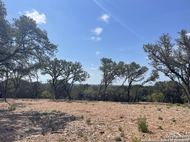 Lot 119 Grand Oaks Property Photo 1