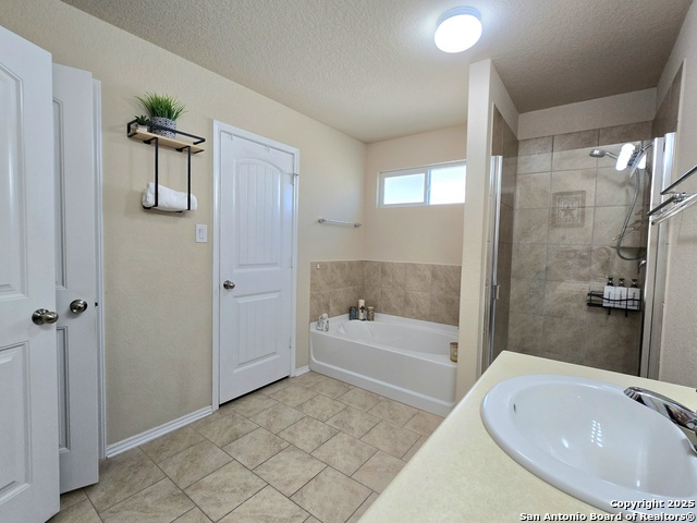 11231 Durango Eagle Property Photo 13