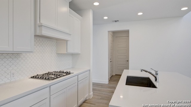 1347 Azul Way Property Photo 18
