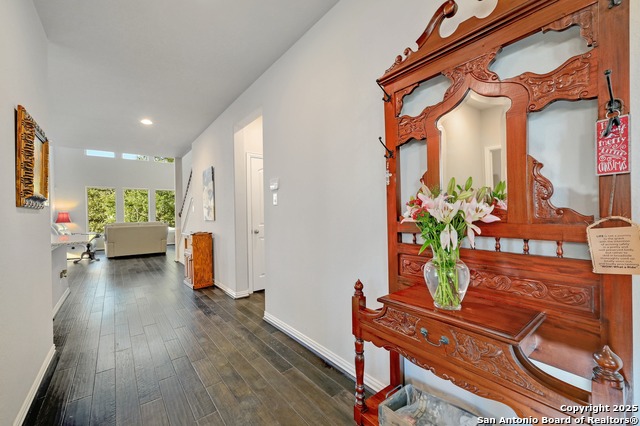 27915 Dana Creek Drive Property Photo 4