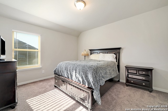 27915 Dana Creek Drive Property Photo 28