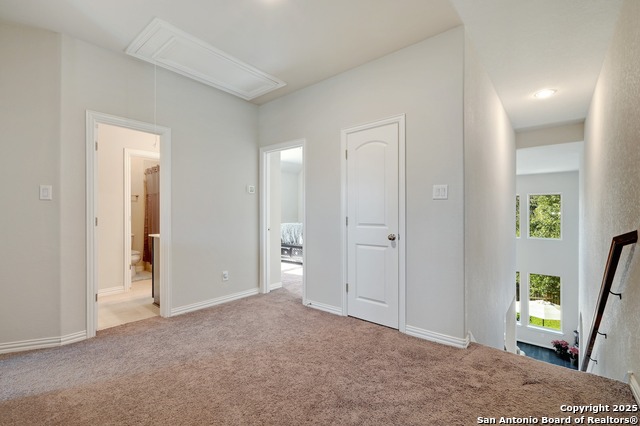 27915 Dana Creek Drive Property Photo 29