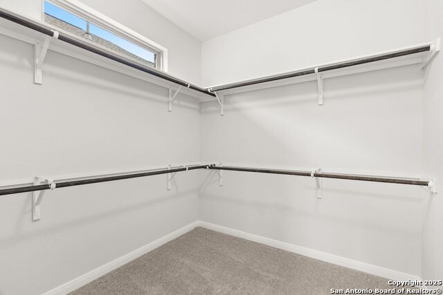 1831 Bighorn Trail Property Photo 21