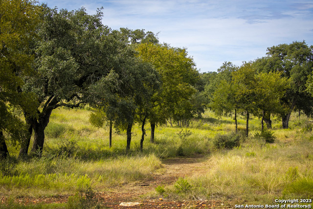 1831 Bighorn Trail Property Photo 41
