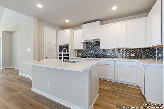 14406 Blue Mesa Hill Property Photo 10