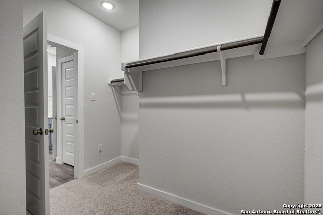 9958 Forestier Grn Property Photo 15