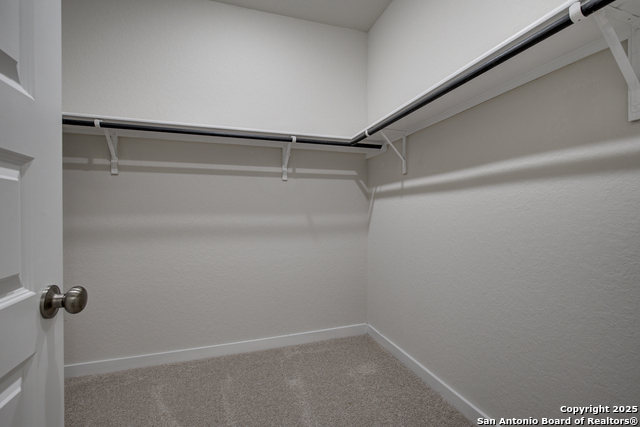 9954 Forestier Green Property Photo 14