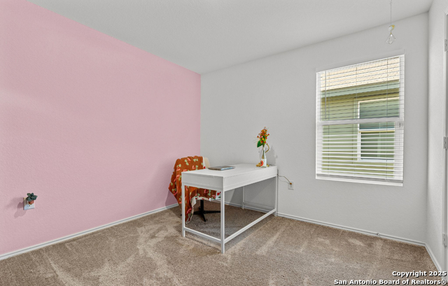 4426 Grassland Pass Property Photo 13