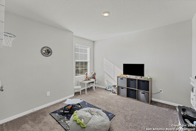 2433 Moselle Ln Property Photo 28