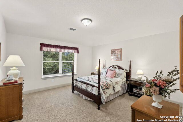 18522 Golden Maize Property Photo 28