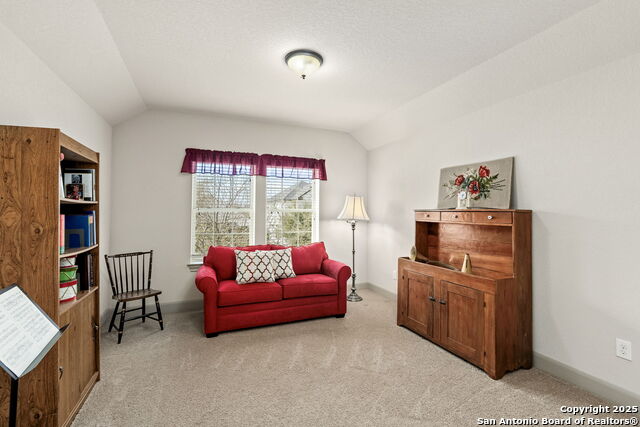 18522 Golden Maize Property Photo 34