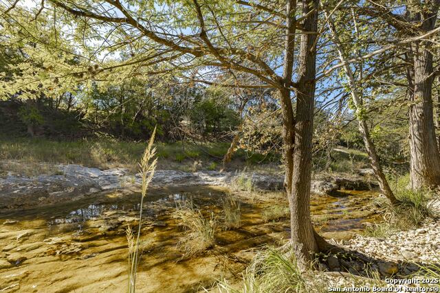 199 Palisades Property Photo 3