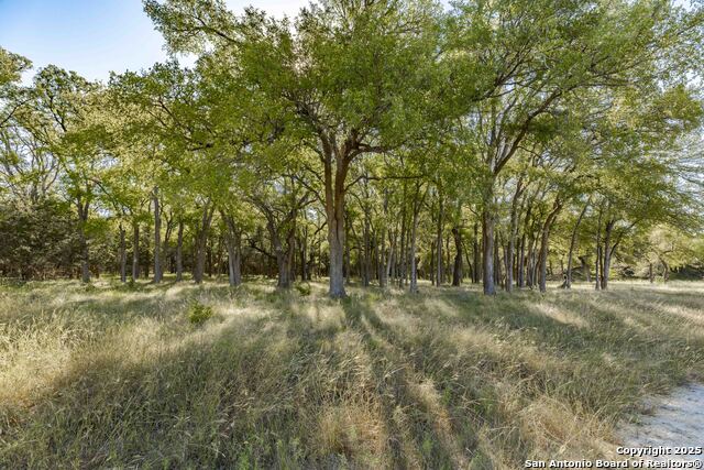 199 Palisades Property Photo 4
