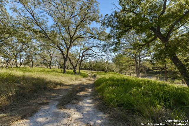 199 Palisades Property Photo 8
