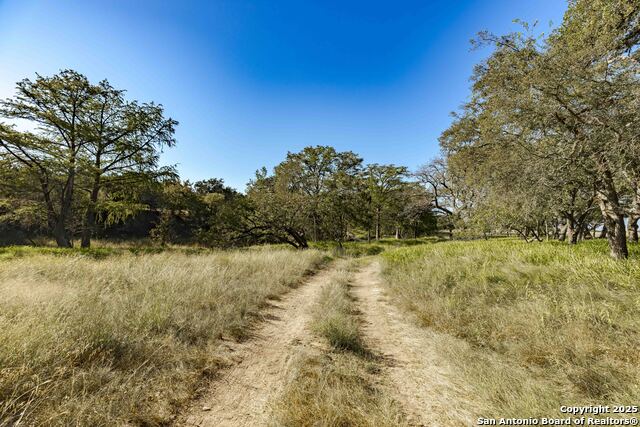 199 Palisades Property Photo 9