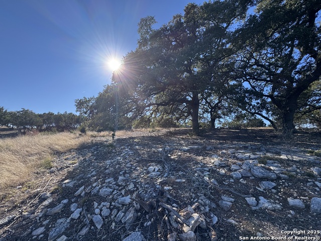 639 Butler Oaks Property Photo 7