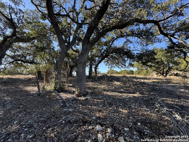 639 Butler Oaks Property Photo 12