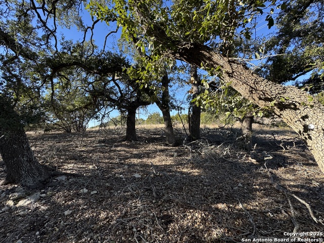 639 Butler Oaks Property Photo 13