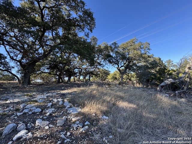 639 Butler Oaks Property Photo 18