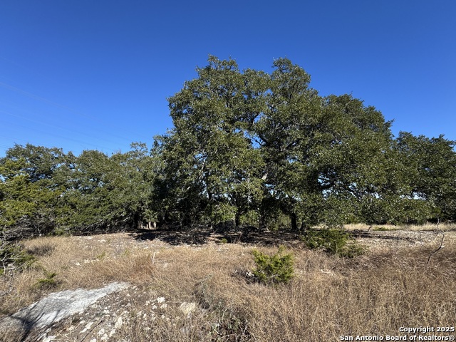 639 Butler Oaks Property Photo 20