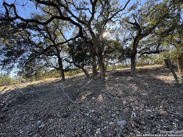 639 Butler Oaks Property Photo 24