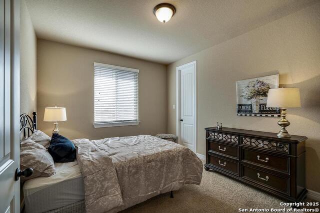 25018 Seal Cv Property Photo 30