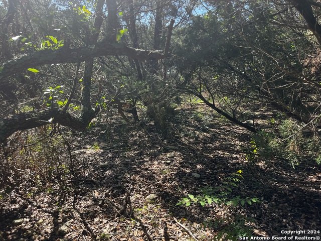 628 Hillside Dr Property Photo 2