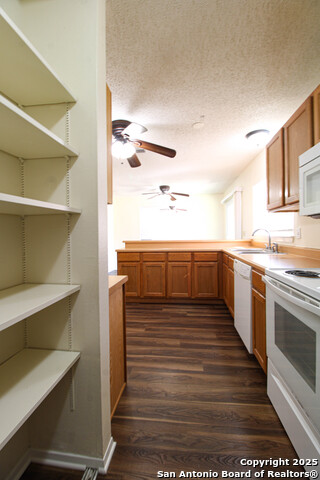 10230 Plumas Dr Property Photo 16