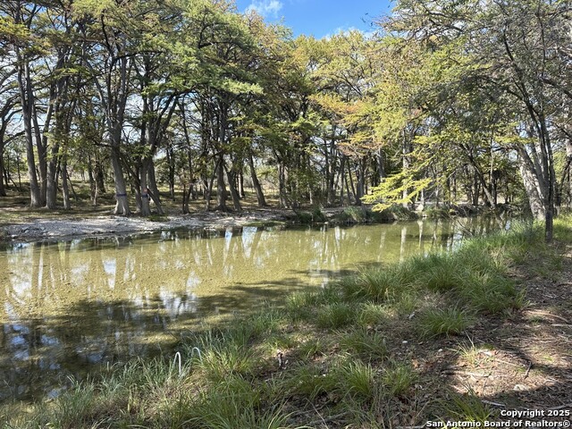 Tbd Little Dry Frio Rd Property Photo 4
