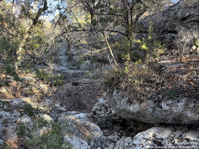 Palomino Dr Property Photo 8