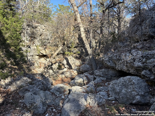 Palomino Dr Property Photo 10