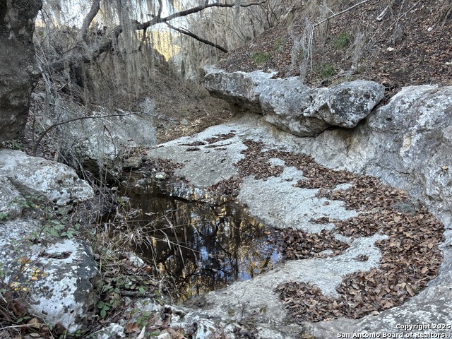 Palomino Dr Property Photo 12