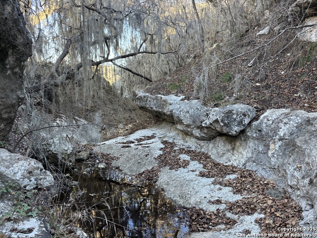 Palomino Dr Property Photo 13