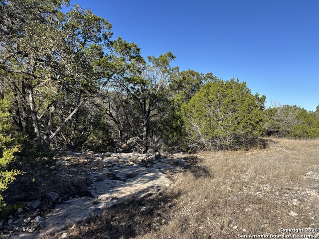 Palomino Dr Property Photo 16