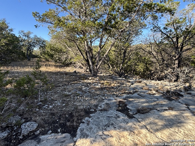 Palomino Dr Property Photo 17