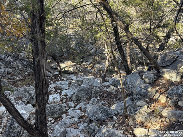Palomino Dr Property Photo 18