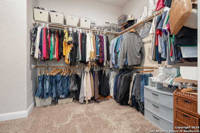 113 Westfield Vw Property Photo 23