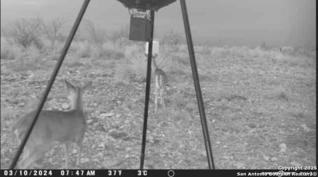 84 Deer Run Property Photo 23