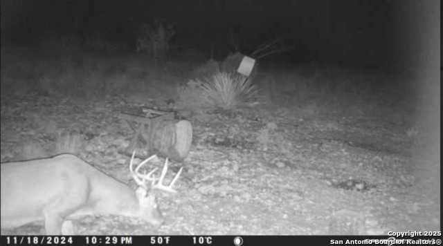84 Deer Run Property Photo 24