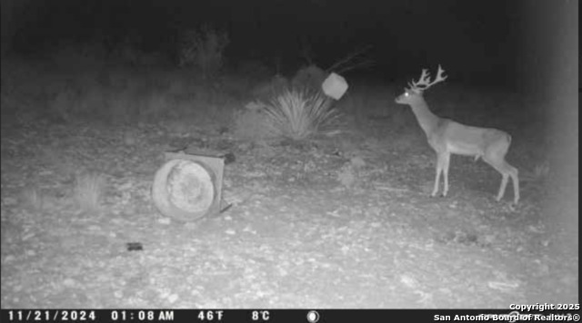 84 Deer Run Property Photo 26