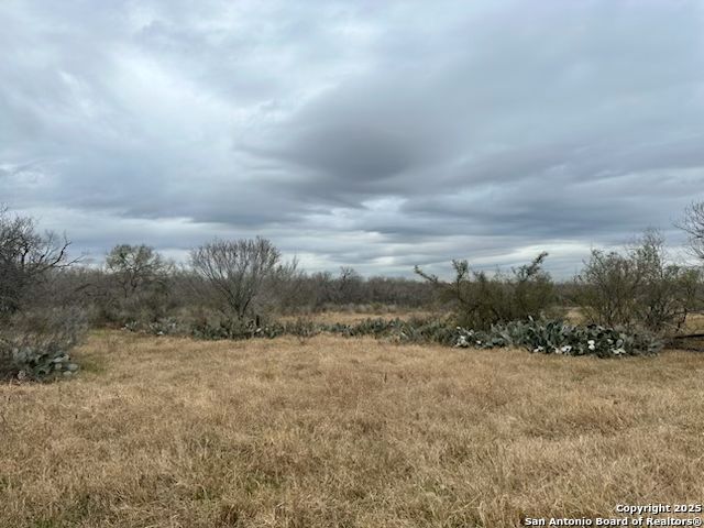 3628 S Loop 1604 Property Photo 3
