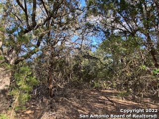 750 Misty Ln Property Photo 2