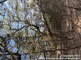 750 Misty Ln Property Photo 21
