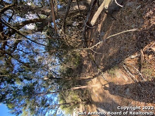 750 Misty Ln Property Photo 23