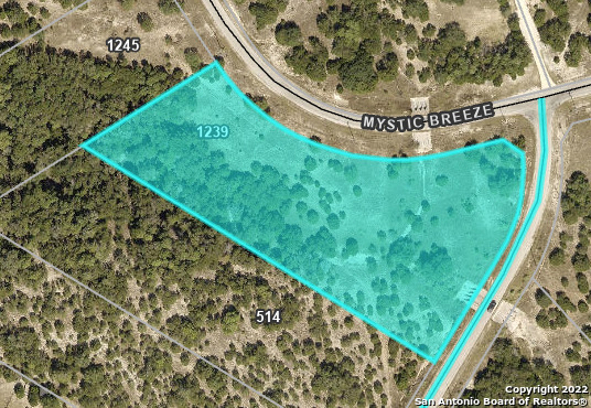 1239 Mystic Breeze Property Photo 3
