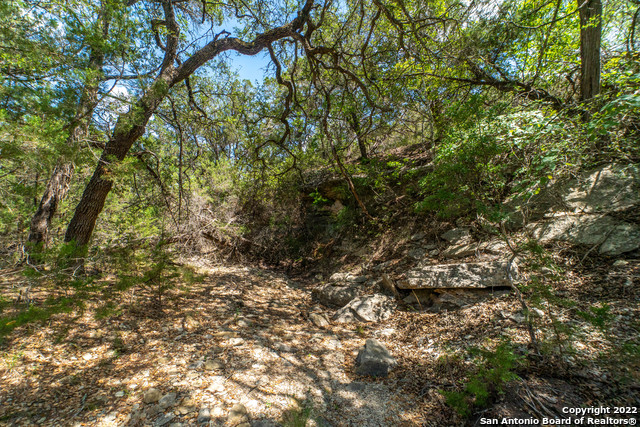 1239 Mystic Breeze Property Photo 5