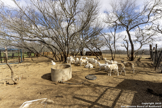 0 Fm 3335 Property Photo 19
