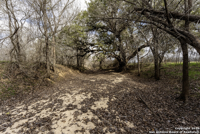 0 Fm 3335 Property Photo 21
