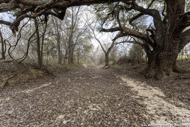 0 Fm 3335 Property Photo 22